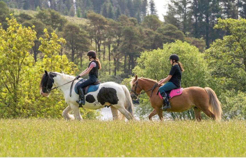 Lochview Retreat Caravan Balminnoch Dış mekan fotoğraf